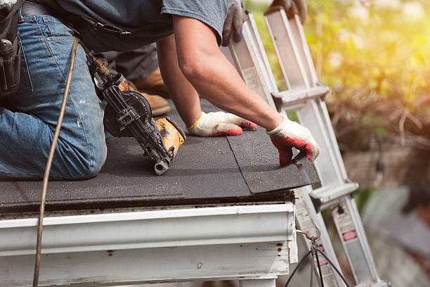 Best Metal Roofing Contractor  in Norris, TN