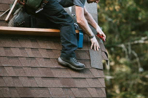 Best Shingle Roofing Installation  in Norris, TN